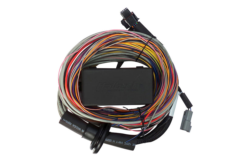 Haltech Elite 750 + Premium Universal Wire-in Harness Kit Length: 5.0m (16')