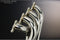 J'S RACING DC2-R 4-2-1 Stainless EX Manifold